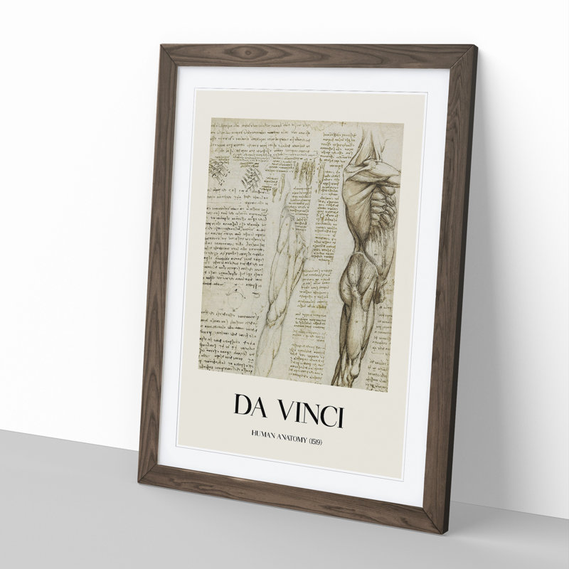 Human Anatomy Vol.6 by Leonardo Da Vinci - Picture Frame Drawing, 65cm H x 48cm W x 2cm D, Walnut Framed