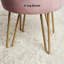 Velvet Storage Upholstered Accent Stool-480798956