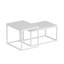 Glorias Coffee Table