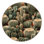 Machine Washable Botanical Brown Area Rug