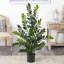 Faux Fern Plant in Pot-1851129577