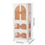 Plastic / Acrylic 6 - Door Rectangle Accent Cabinet