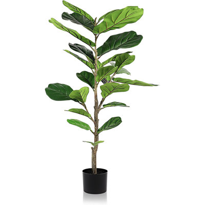 150cm Faux Ficus Tree in Cement Pot