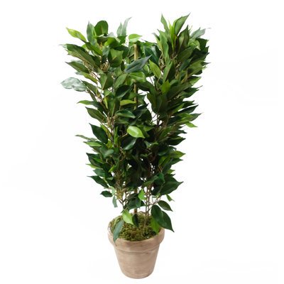 Anjeli 60cm Faux Foliage Plant in Pot