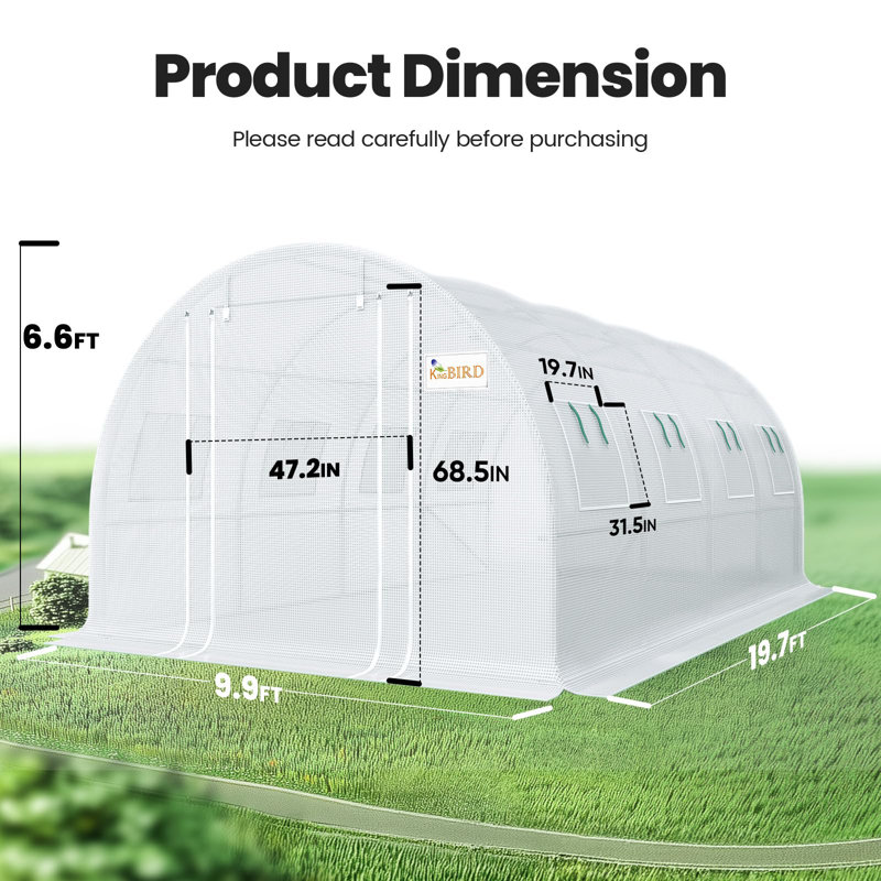 KING BIRD Premium 20x10x6.6FT Large Walk-in Greenhouse for Outdoors, Heavy Duty Galvanized Steel Frame, White, White