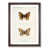 Walnut Framed