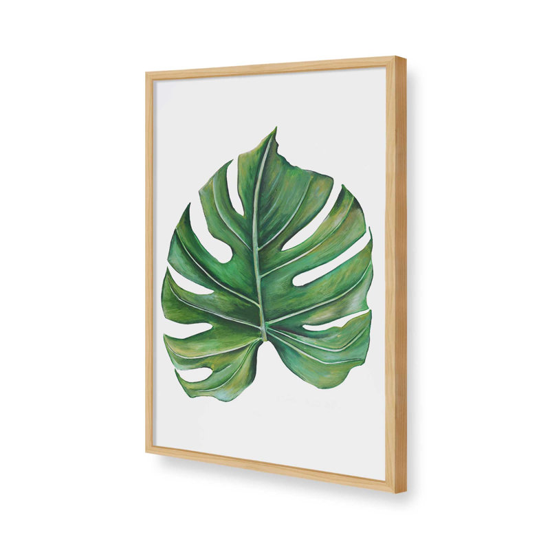 Étude Monstera Émeraude par Dollybirds, estampe, H 19,25 po x l 13,25 po, American Maple Framed Print