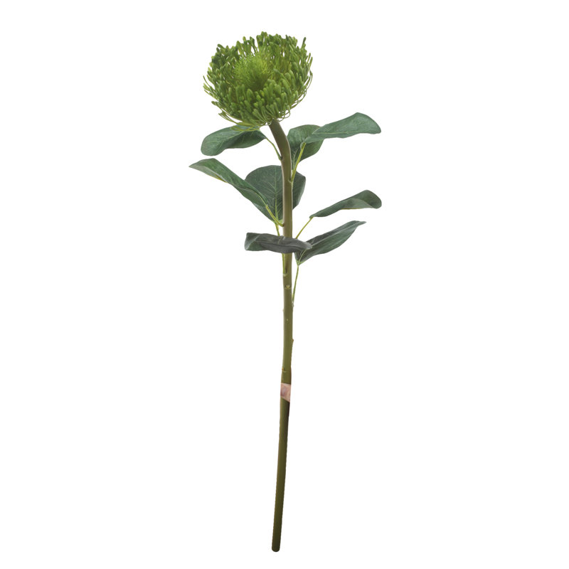 Tige de coussinet, Vert