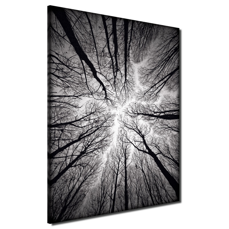 Plafond - impression d'art graphique, H 40 po x l 30 po, Toile tendue