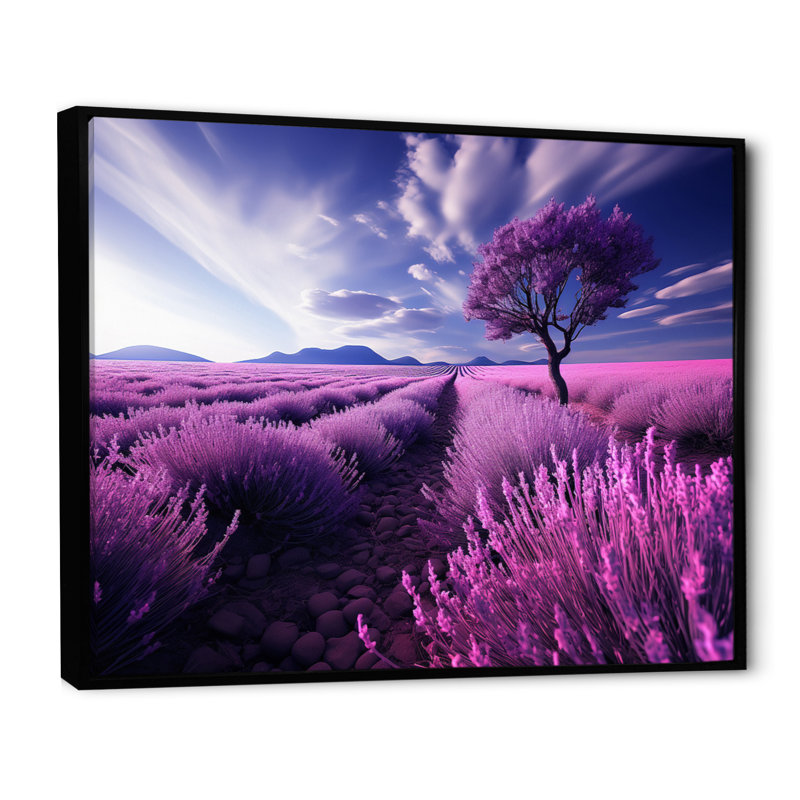 France Lavender Fields Symphony - impression, H 16 po x l 32 po x P 1 po, Cadre flottant noir