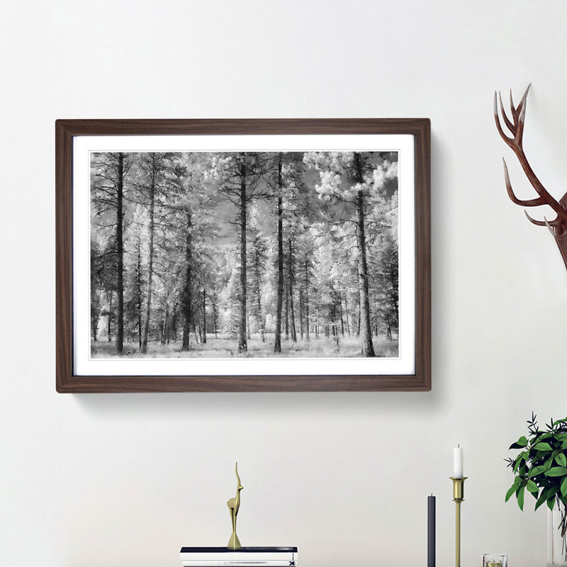 Montana Forest - Picture Frame Photograph Print, 62cm H x 87cm W x 2cm D, Walnut Framed