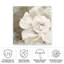 Impasto II-98043951