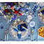 Dreamweaver Placemat-1078582324