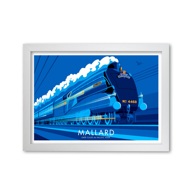 Mallard by Stephen Millership - Print, 21 cm H x 29.7 cm W x 5 cm D, White