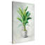 «Greenhouse Palm II», reproduction d'art-651223036-651223029