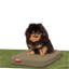 Orthopedic Microfibre Pet Bed-45431229-45408860