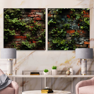 Urban Plants Oasis Bring