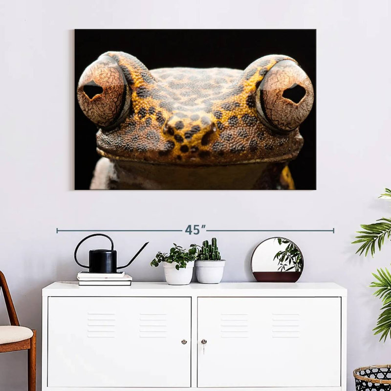 Brampt Tree Frog Eyes, 26" H x 39" W