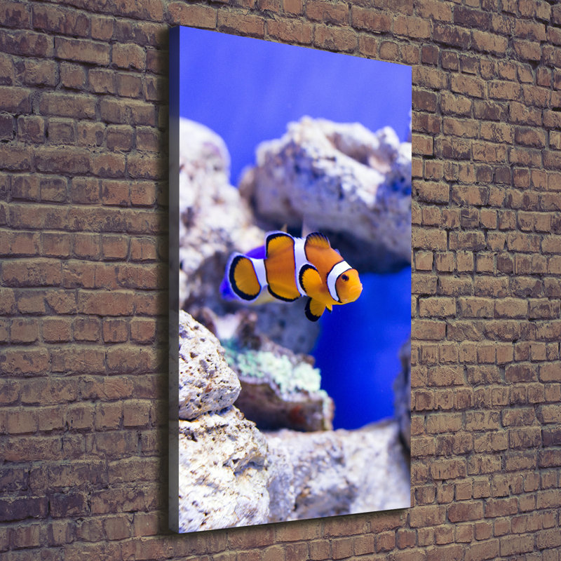 Nemo Fish - Wrapped Canvas Print