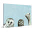 «Big Eyes in Blue», reproduction sur toile tendue-432485499