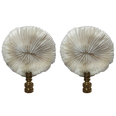 Faiteau de lampe corail champignon naturel