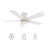 48"  5 - Blade LED Smart Flush Mount Ceiling Fan with Remote Control and Light Kit Included.-1466076140