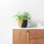 Handmade Wood Pot Planter-737450204-737450205