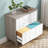Derrin 31.5'' Wide 2 -Drawer File Cabinet-2117688603