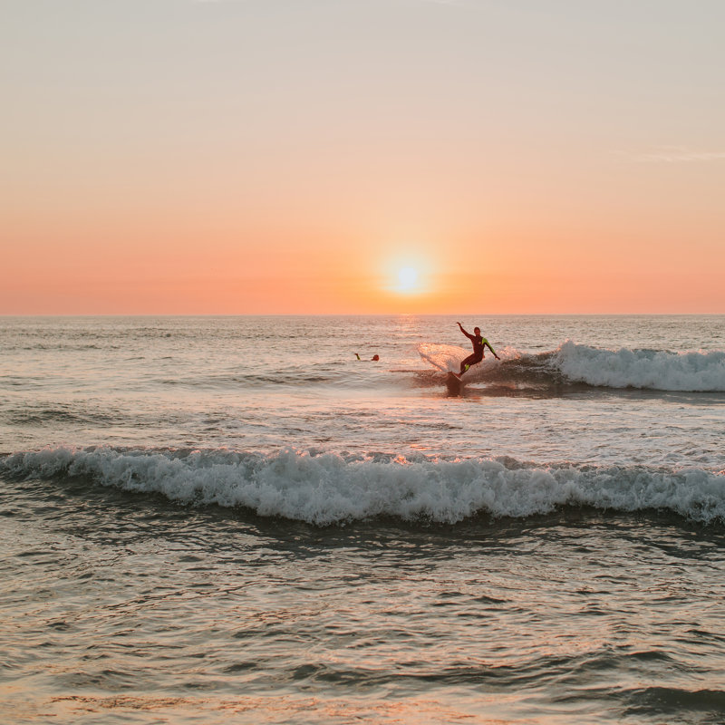 " Hello Twiggs Surfers Wave " by Claudia Casal, 12" W x 12" H