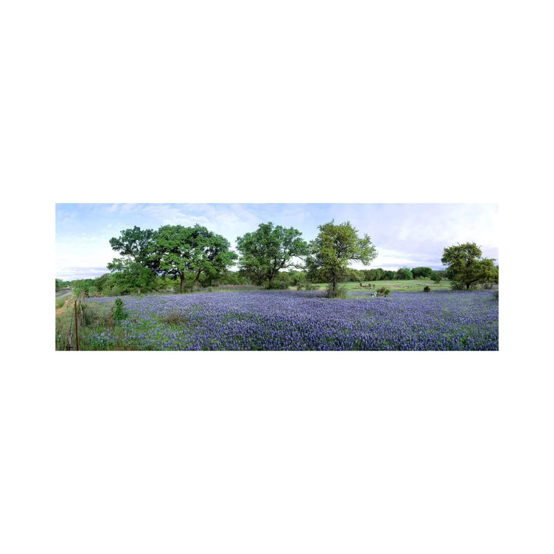 «Field of Bluebonnets», Hill County, Texas, États-Unis - reproduction de photo sur toile, Toile tendue, Pas de tapis