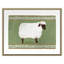 Sheep Print by Gibson, Dana-1354024792