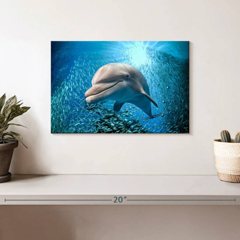 Brampt Dolphin Close Up, 8" H x 12" W