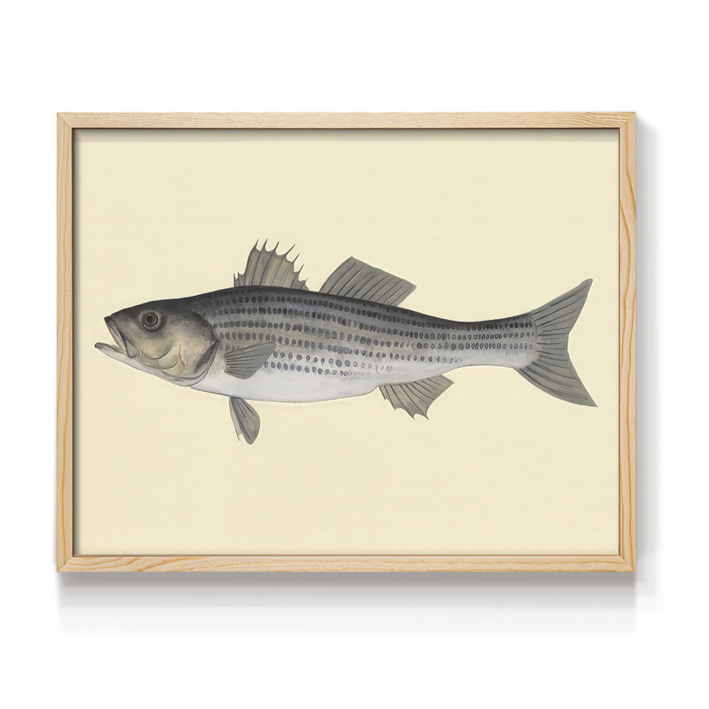 Saltwater Species I -Framed Print - Restickable, H 8 po x l 10 po, Naturel