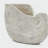 11.5x6.7x7.7" Sand and Cement Nautilus Shell Planter with Textured Beige Finish