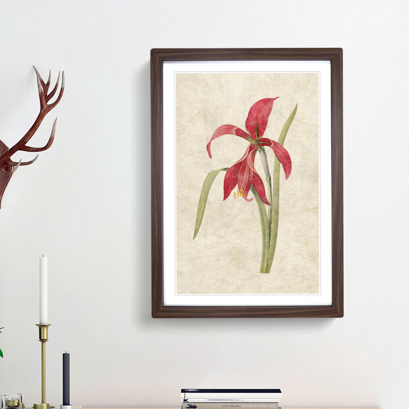 Amaryllis Flower by Pierre-Joseph Redoute - Single Picture Frame Painting, Walnut Framed, 33cm H x 24cm W x 2cm D