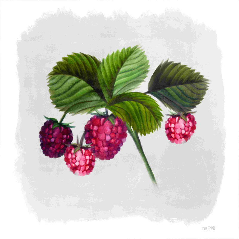 " Raspberry Botanical " by House Fenway Painting Print, 20" W x 20" H