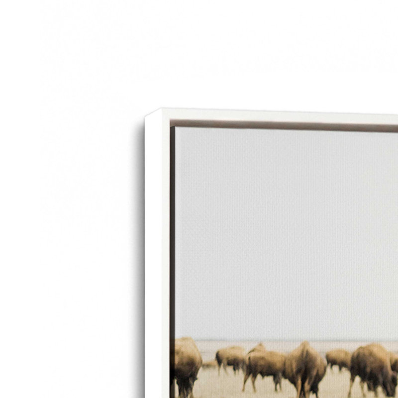 Impression sur toile Wild Plains, Cadre flottant blanc opaque, H 8,75 po x l 12,75 po x P 1,75 po