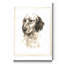 Reproduction d’art sur toile tendue « Danchin setter »-221541498