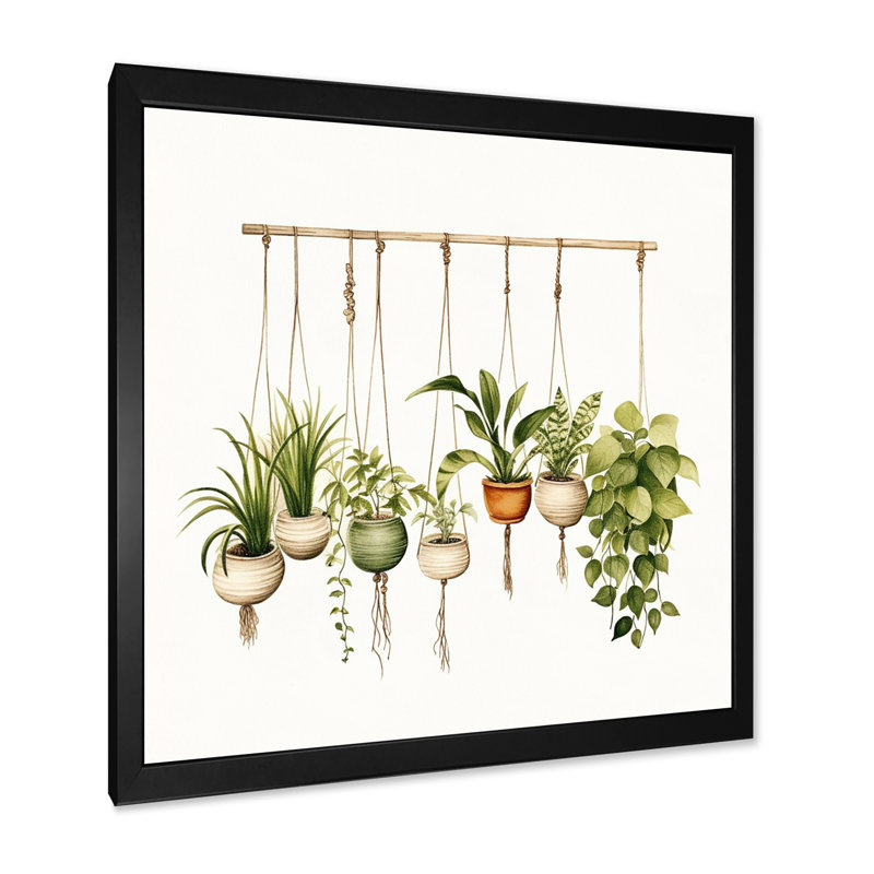 Plantes suspendues aquarelle botanique bohème, Cadre simple noir, H 36 po x l 36 po x P 1,5 po