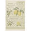 Tapis de couloir Limoncello