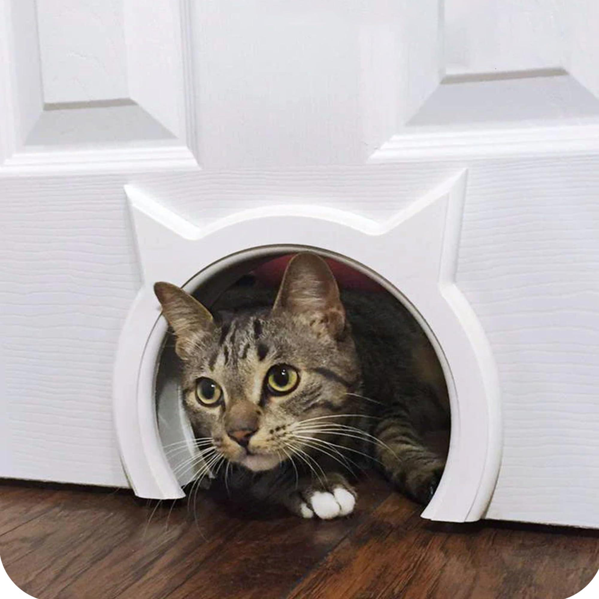 Template Interior Cat Flap Interior 2-Way Locking Cat Door PetSafe®
