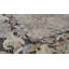 Ziegler One-of-a-Kind 9'4" X 12' Area Rug