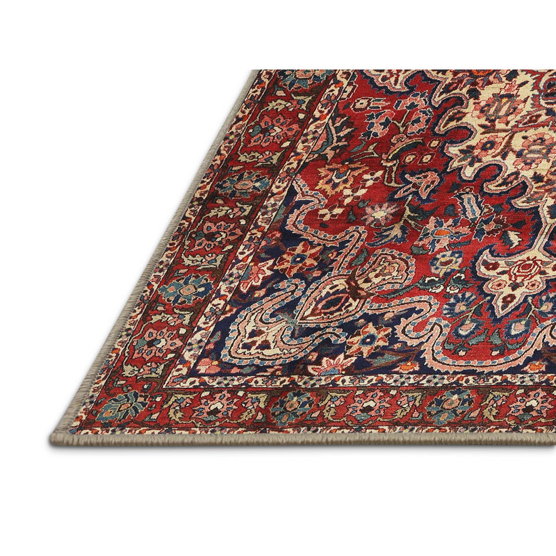 Cassadie Oriental Indoor Rug, Runner 2' x 5'