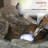 Gober Floor Fountain with Lights
