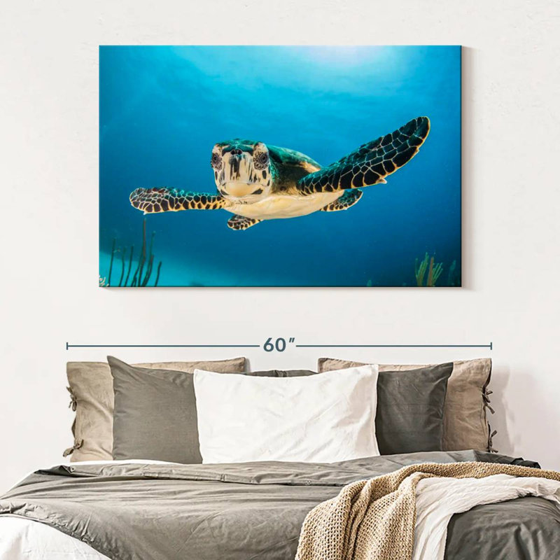 Tortue sous-marine Brampt, H 34 po x l 51 po
