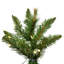 Vickerman Bennington Spruce Artificial Christmas T 42' Lighted Artificial Spruce Christmas Tree
