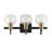 Escondido Iron/Glass Rustic Vintage LED Vanity Light-97602523