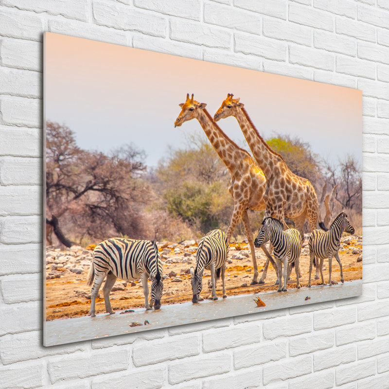 Giraffes And Zebras - No Frame Print on Glass
