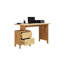 Raymonde Solid Wood Solid Wood Writing Desk-1621248775