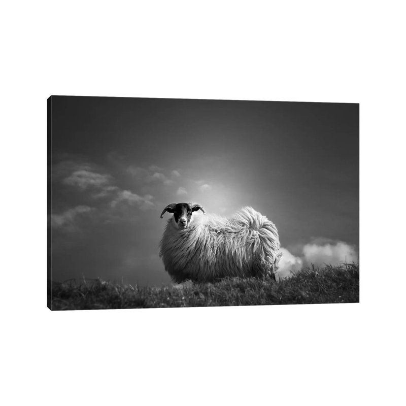Le Fluff by Dorit Fuhg - Wrapped Canvas Print, 20.32 cm H x 30.48 cm W